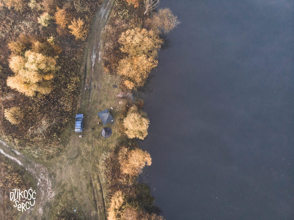 Wschód słońca podczas spaceru z psami, Bajkał, Wrocław