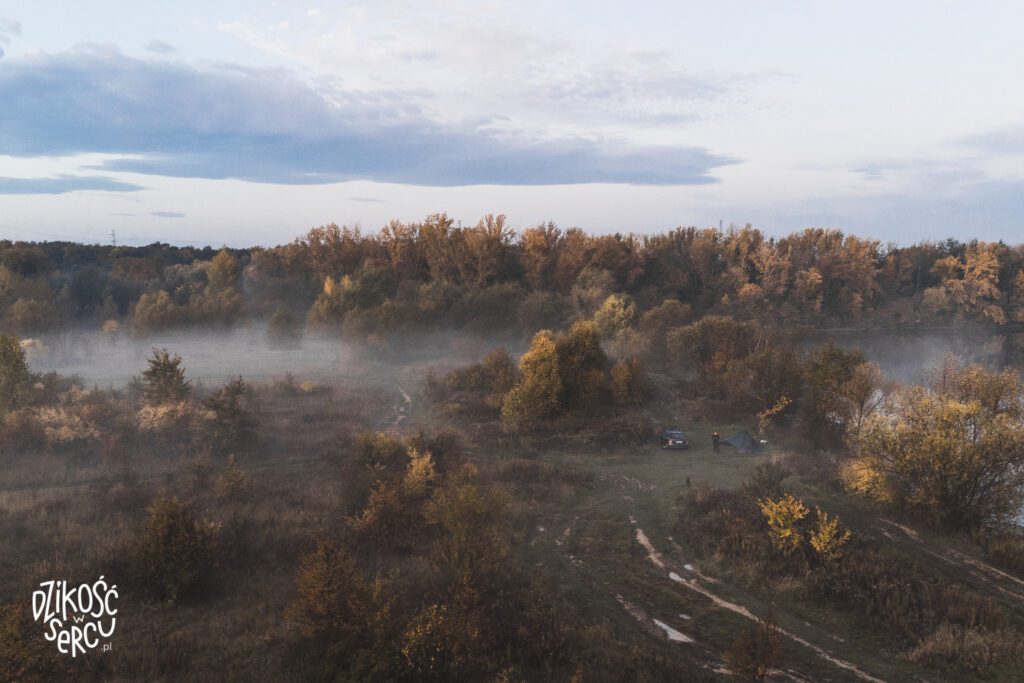 Wschód słońca podczas spaceru z psami, Bajkał, Wrocław