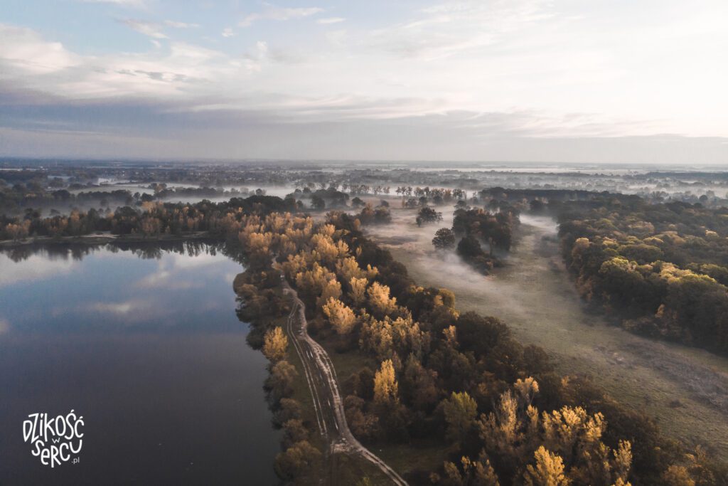 Wschód słońca podczas spaceru z psami, Bajkał, Wrocław
