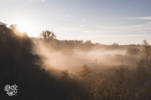 Wschód słońca podczas spaceru z psami, Bajkał, Wrocław