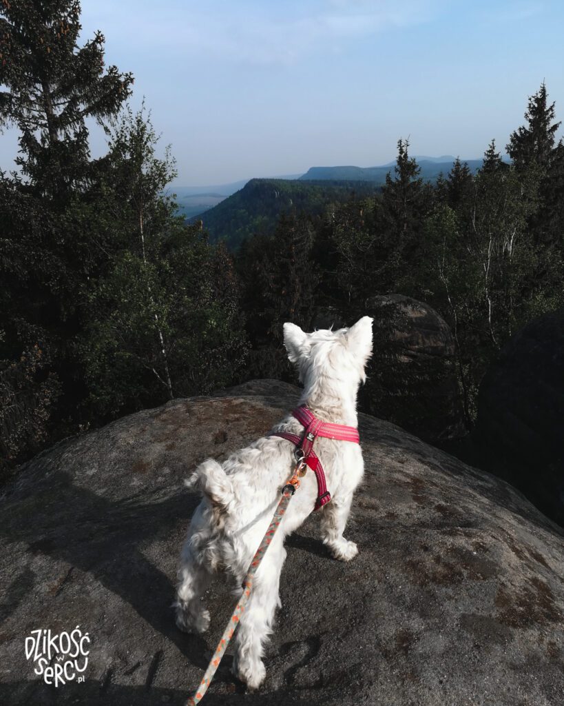 Góry Stołowe z psem, Park Narodowy, wędrówka z plecakiem