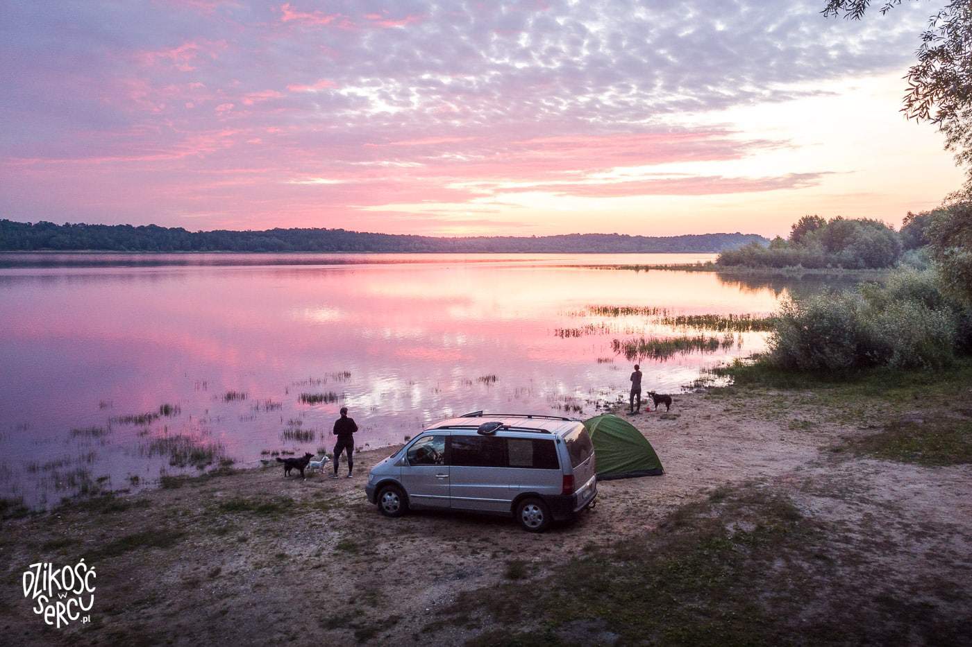 Różowy wschód słońca nad jeziorem, vanflife, auto i namiot, dwie dziewczyny z psami