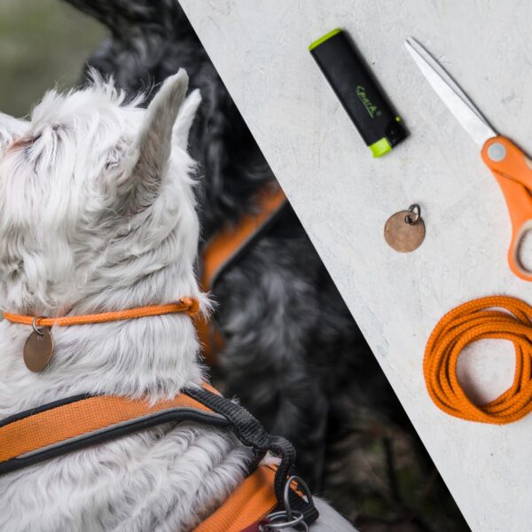 DIY: „Podomka” dla psa, czyli lekka obroża z adresówką
