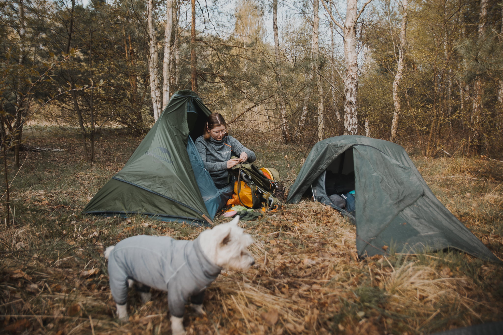 Jaki namiot na wędrówkę (z psem)? Kompletny przewodnik i recenzje