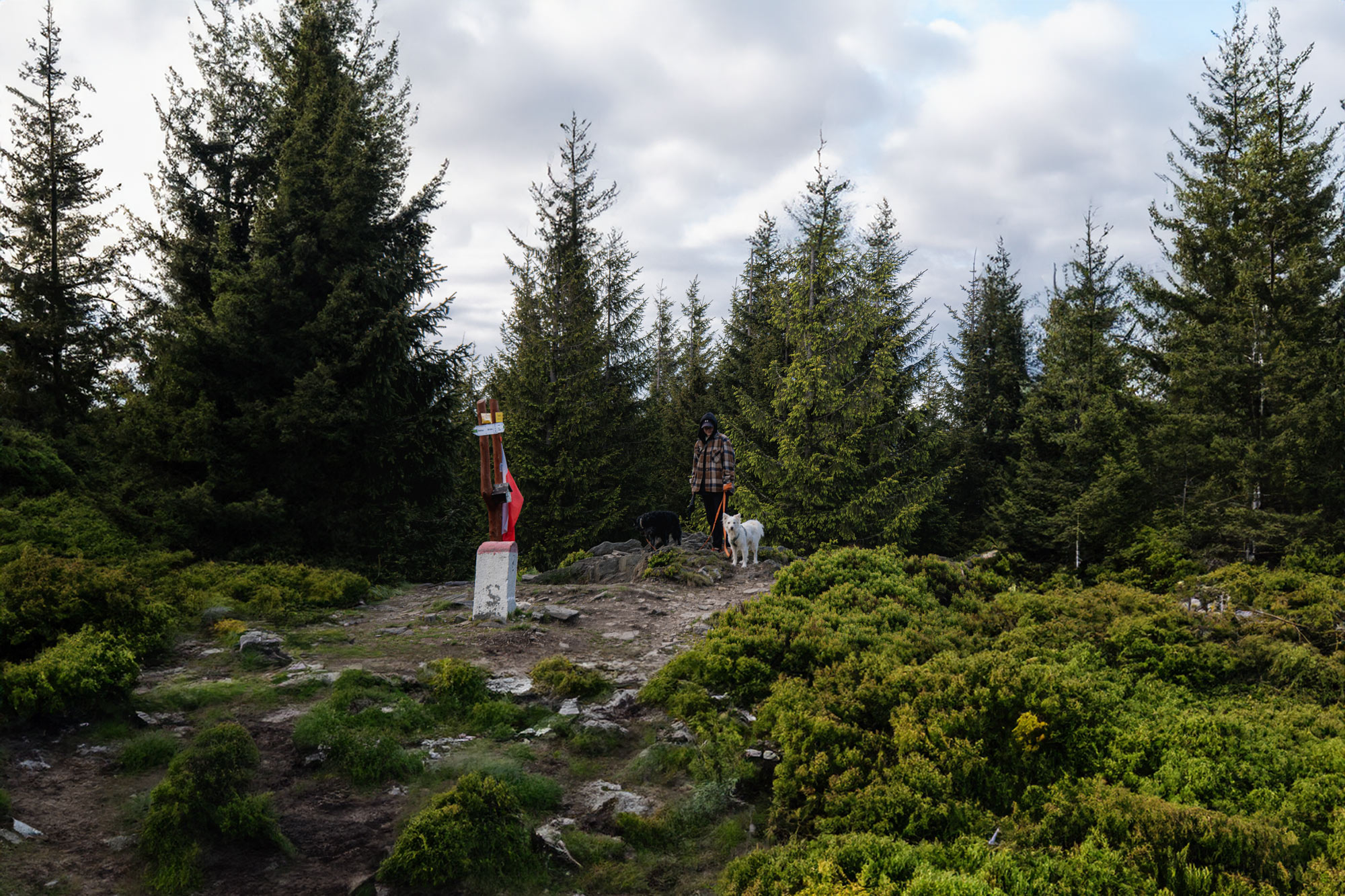 Kowadło (988 m n.p.m.) z psem – którędy najlepiej iść?