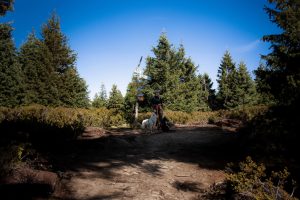 Rudawiec, Góry Bialskie, Góry Złote, Sudety