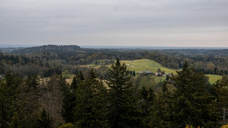 Estonia - lasy