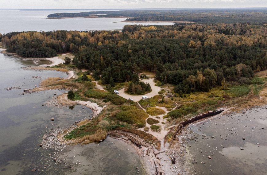Bagna i torfowiska Estonii - na brzegu morza Bałtyckiego
