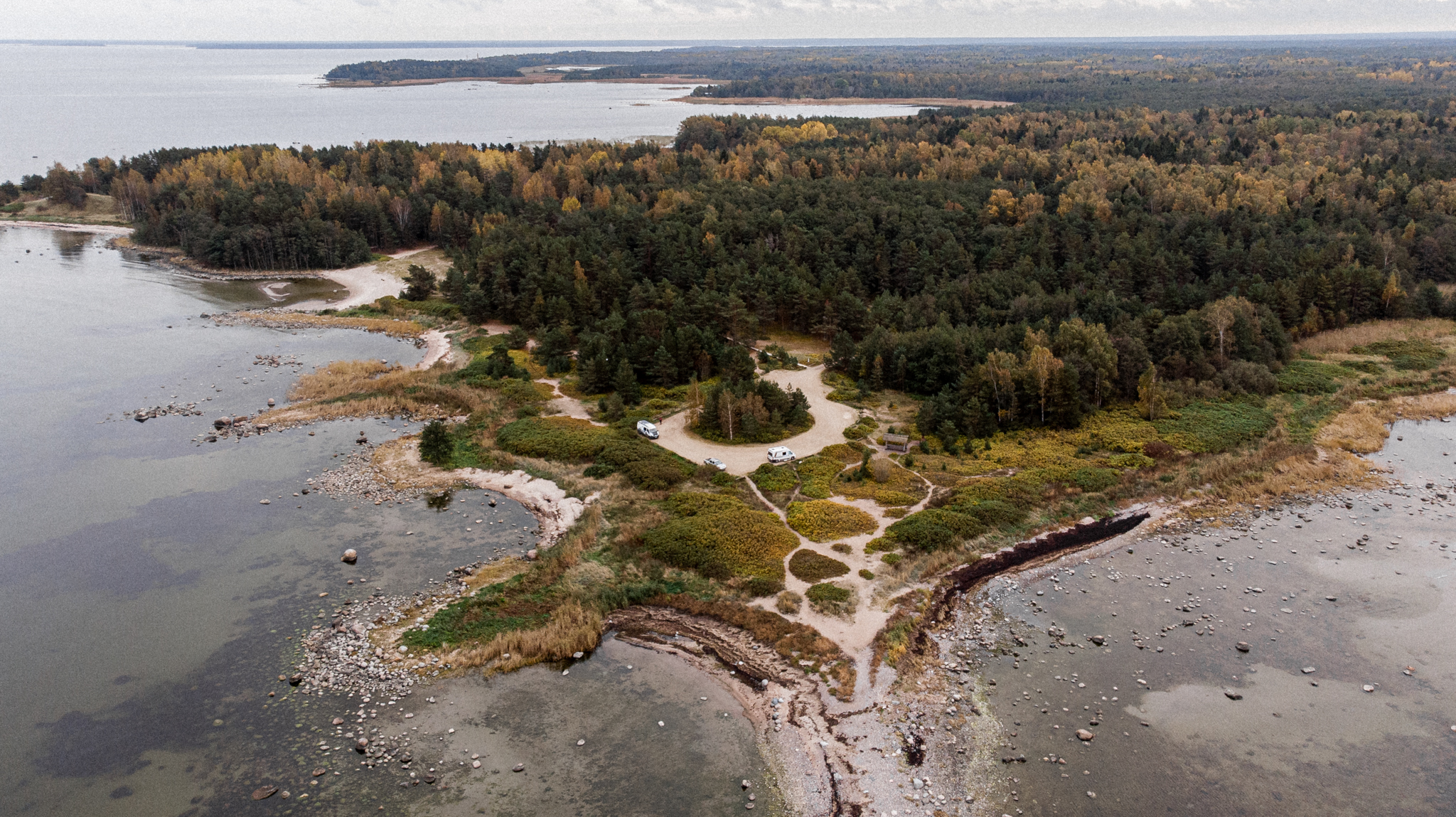 Bagna i torfowiska Estonii - na brzegu morza Bałtyckiego