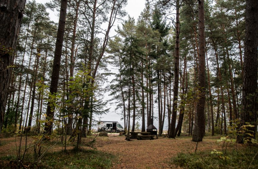 Spanie na dziko w Estonii - kamper w lesie