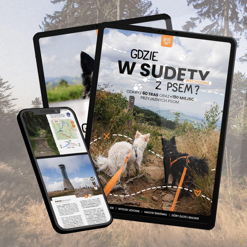 E-book Gdzie w Sudety z psem – przewodnik po 60 trasach i 130 miejscach przyjaznych psom