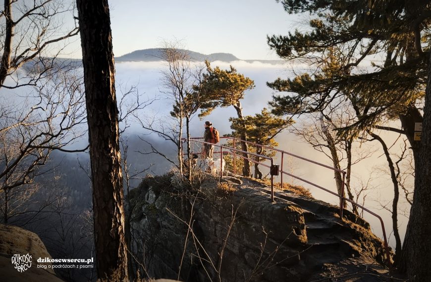 Koruna i Kamienna Brama (Broumovské stěny) – najpiękniejsza wędrówka tego roku (30+ zdjęć)