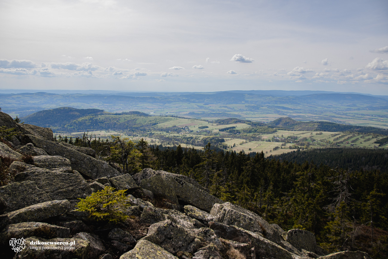 Panorama ze szczytu, Trójmorski WIerch