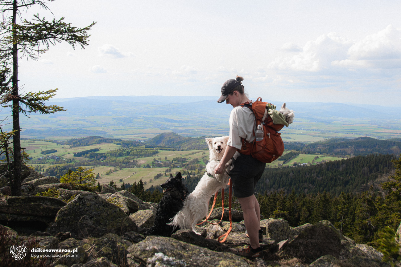 Stoję z psami na tle panoramy widocznej z Trójmorskiego Wierchu. Za nami widok na Góry Bystrzyckie i Orlickie.