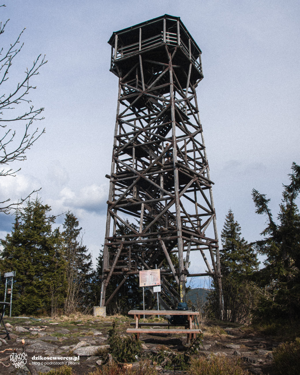 Wieża widokowa Trójmorski Wierch