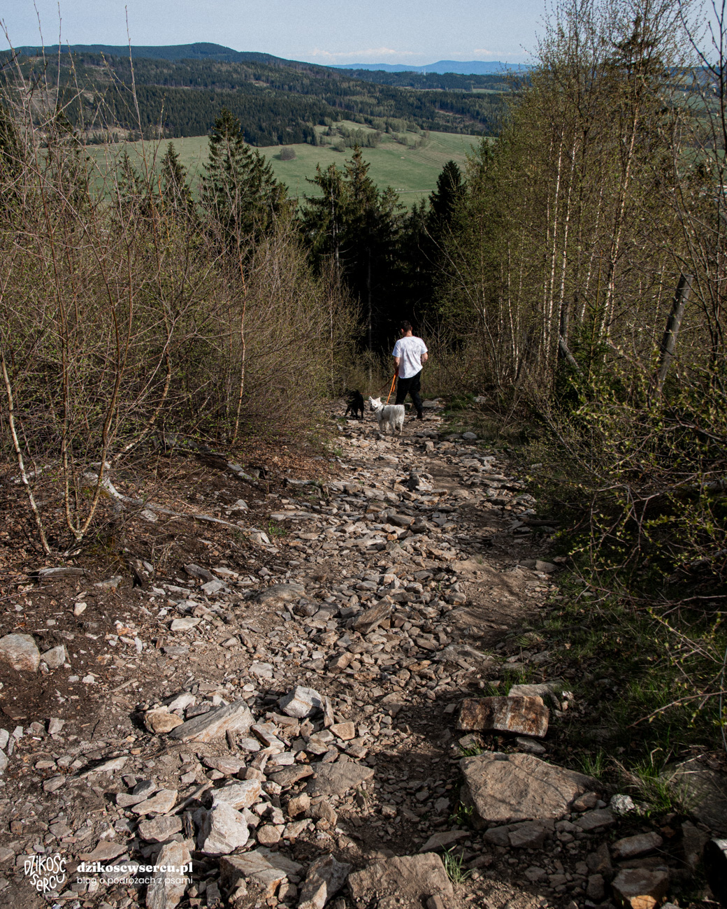 Czerwony szlak - podejście pod Trójmorski Wierch z psem