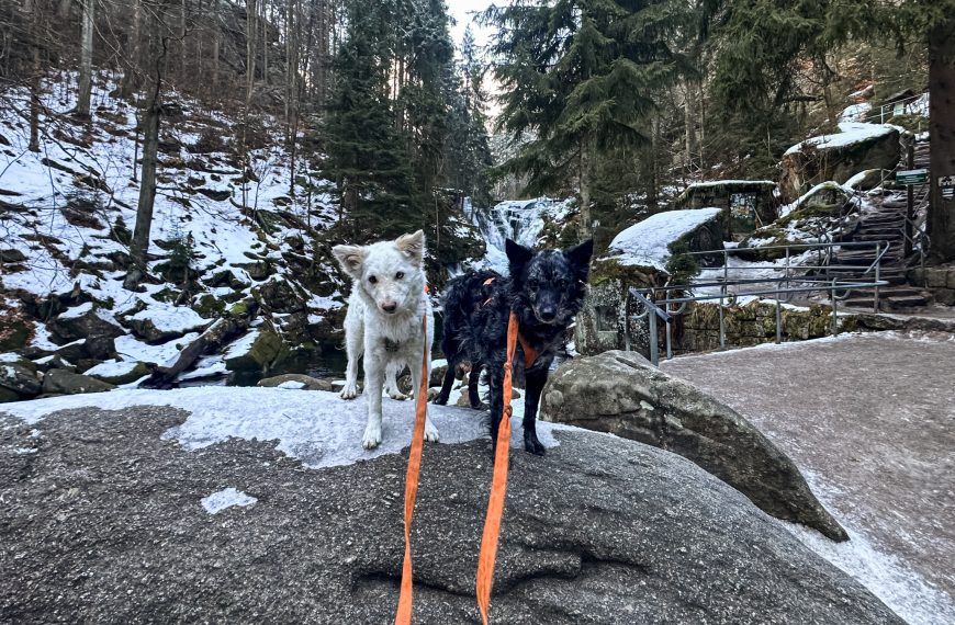 Wodospad Szklarki z&nbsp;psem – zasady, trasa, wskazówki